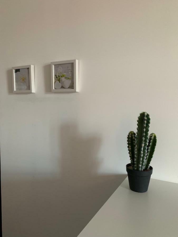 Beau T4 Hyper Centre Avec Parking Apartment Perpignan Exterior photo